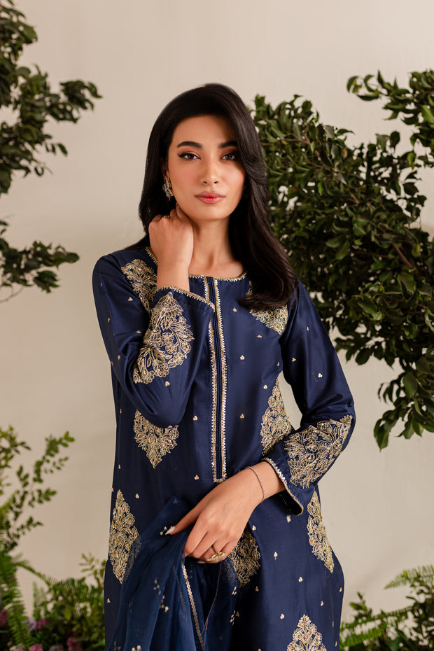 Storm 3Pc - Embroidered Luxe PRET