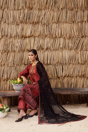 Kavya-finished hem with crystal embellishments and layered embroidery luxury Pakistani khaddar suit for winter collection.