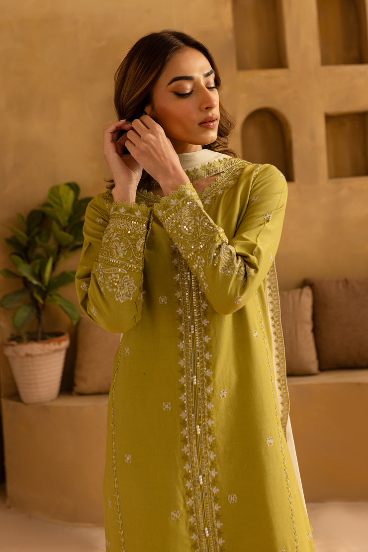 Rashaan 3Pc- Embroidered Khaddar Dress