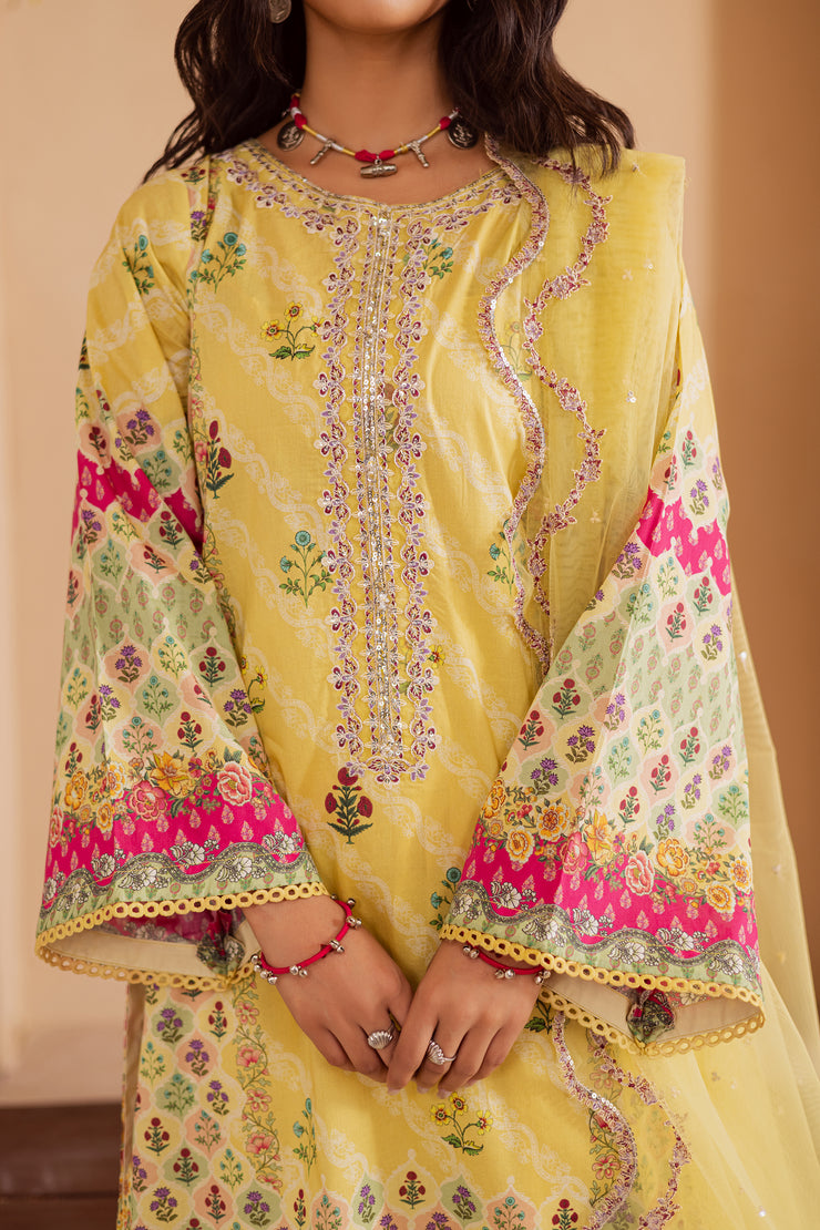 Robin 3Pc - Festive Eid Prints
