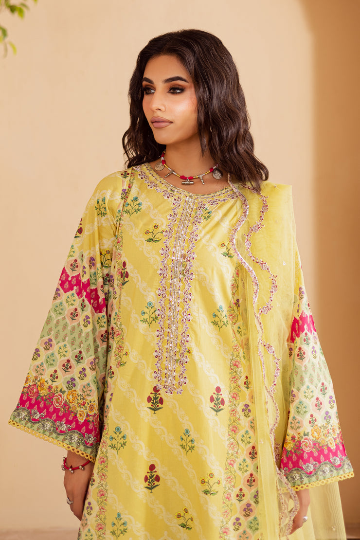 Robin 3Pc - Festive Eid Prints