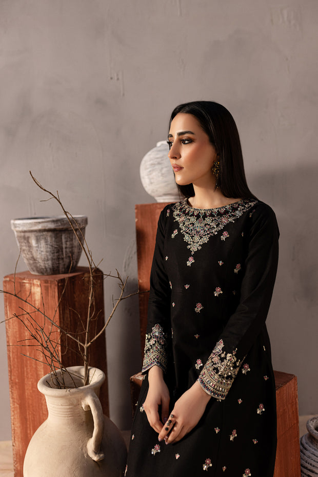 Somber 2Pc - Embroidered Karandi Dress