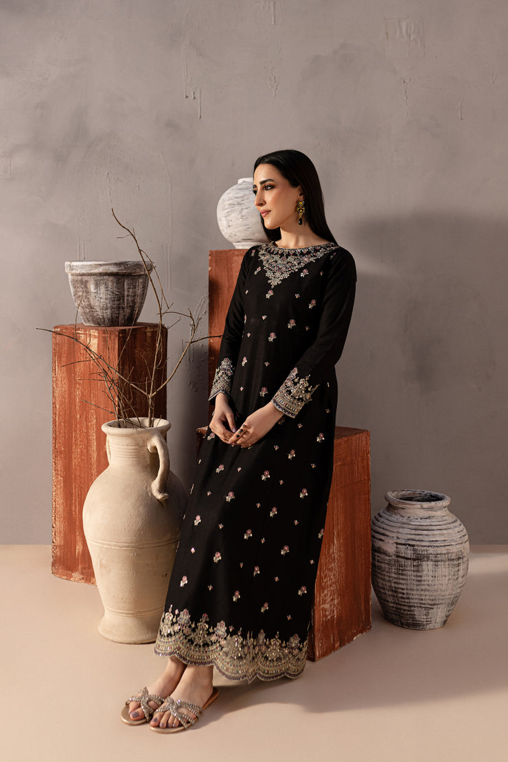 Somber 2Pc - Embroidered Karandi Dress