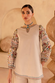 Biscotti Bliss - 2Pc Embroidered Khaddar Dress