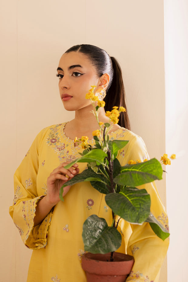 Daisy Dream 2Pc - Embroidered Lawn Pret