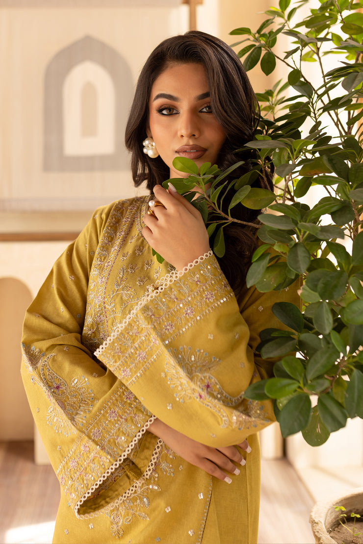 Rhea Lime 2Pc - Embroidered Karandi Dress