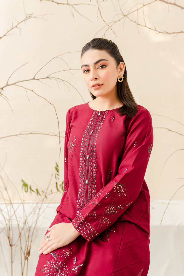 Teagan 2Pc - Embroidered Karandi Dress