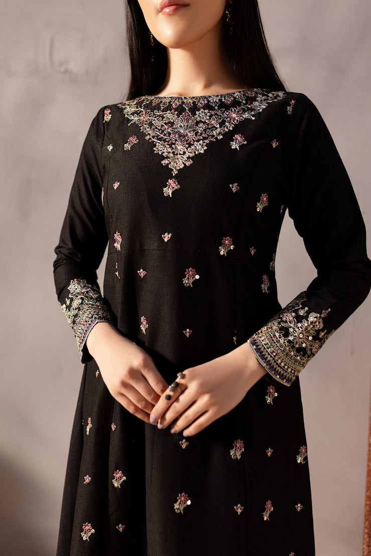 Somber 2Pc - Embroidered Karandi Dress