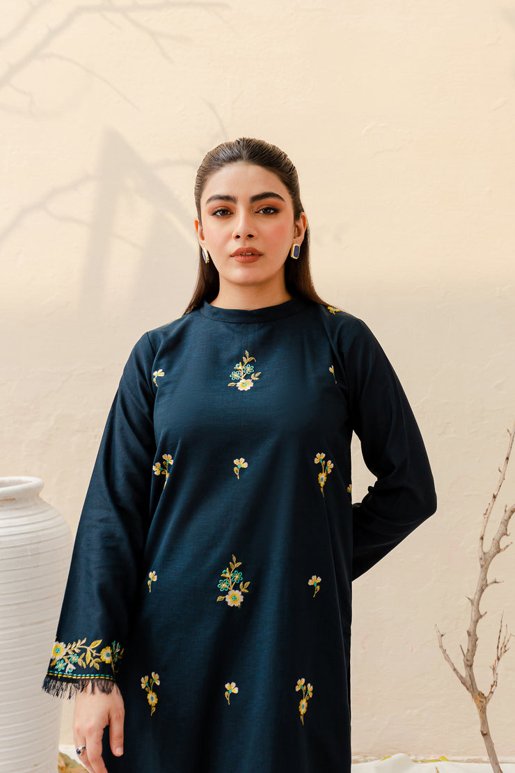 Deosai 2Pc - Embroidered Karandi Dress