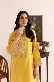 Nain 3Pc - Embroidered Lawn Dress