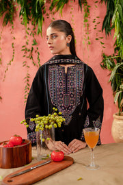 Noelle 3Pc - Embroidered Khaddar Dress