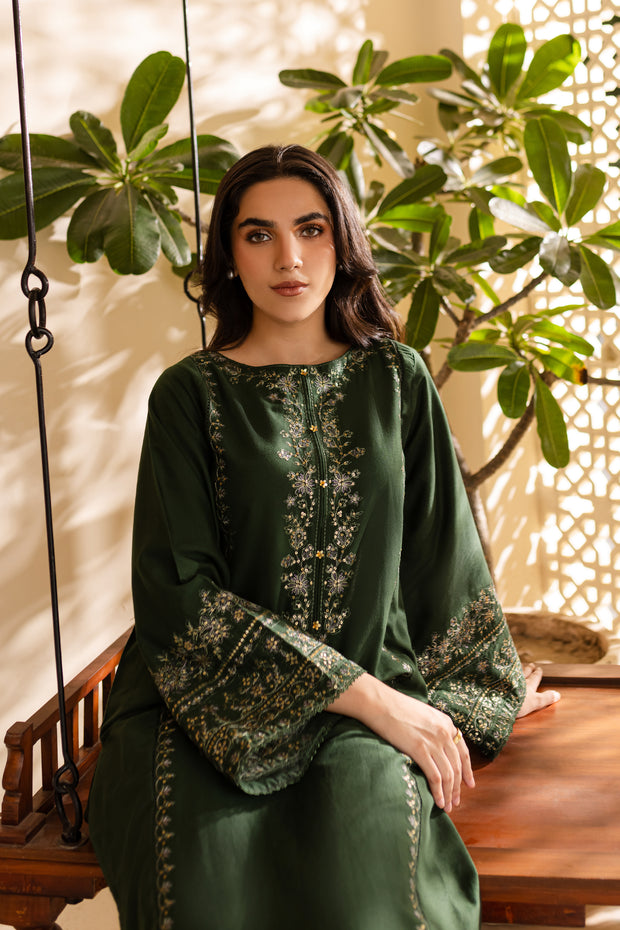 Alicent 2Pc - Embroidered Khaddar Dress