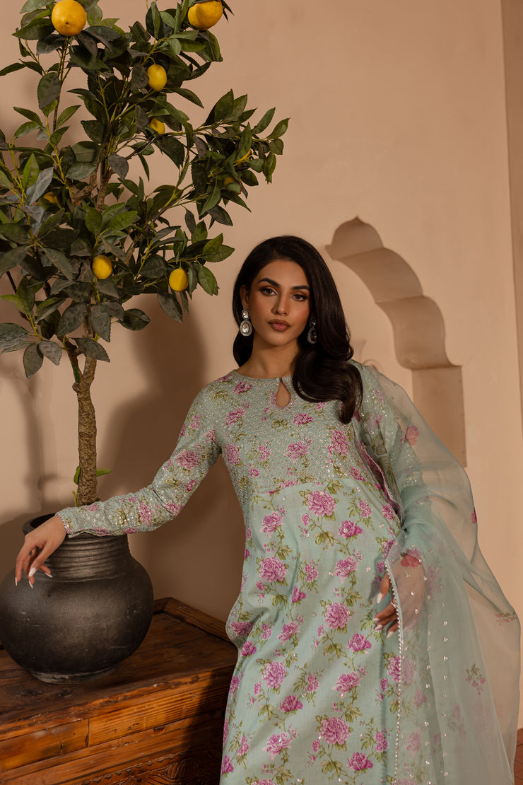 Afsana 3Pc - Printed Lawn Dress