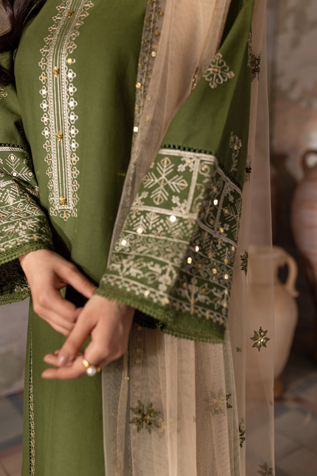 Kermit 3Pc - Embroidered Khaddar Dress