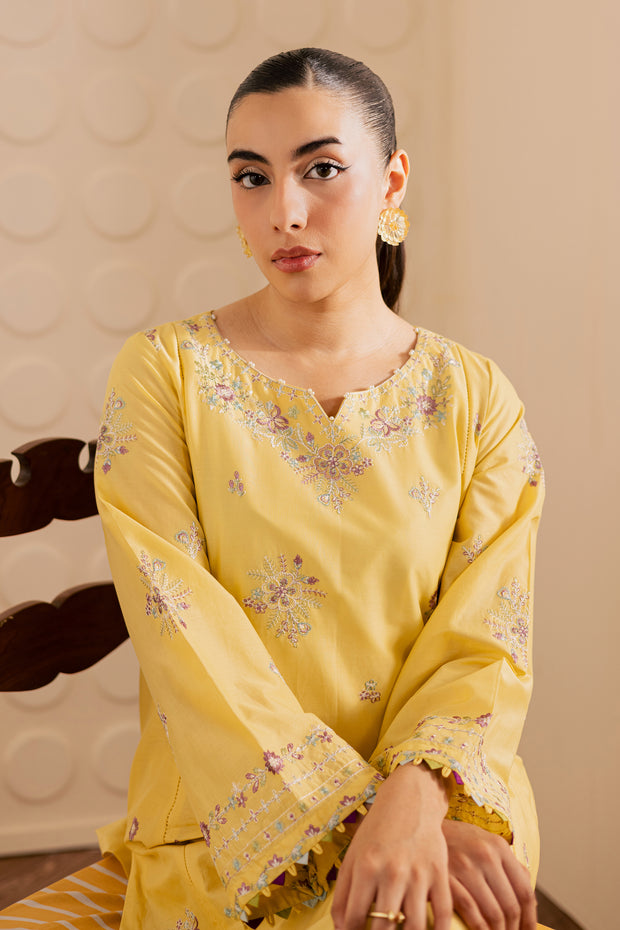 Daisy Dream 2Pc - Embroidered Lawn Pret