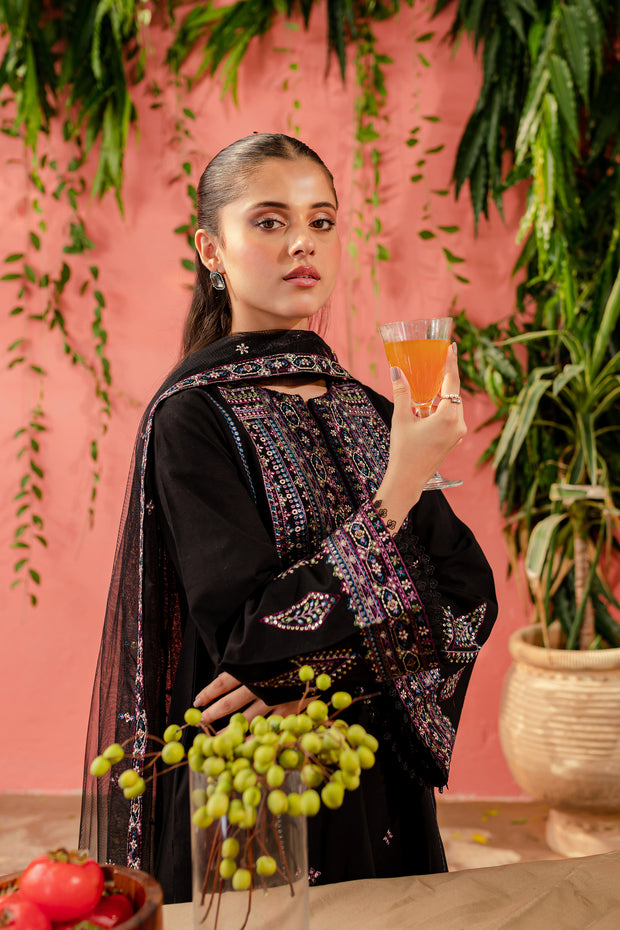Noelle 3Pc - Embroidered Khaddar Dress