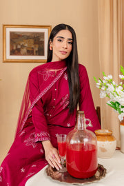Lilly 3Pc - Embroidered Karandi Dress