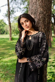 Smoky 2Pc - Embroidered Karandi Dress