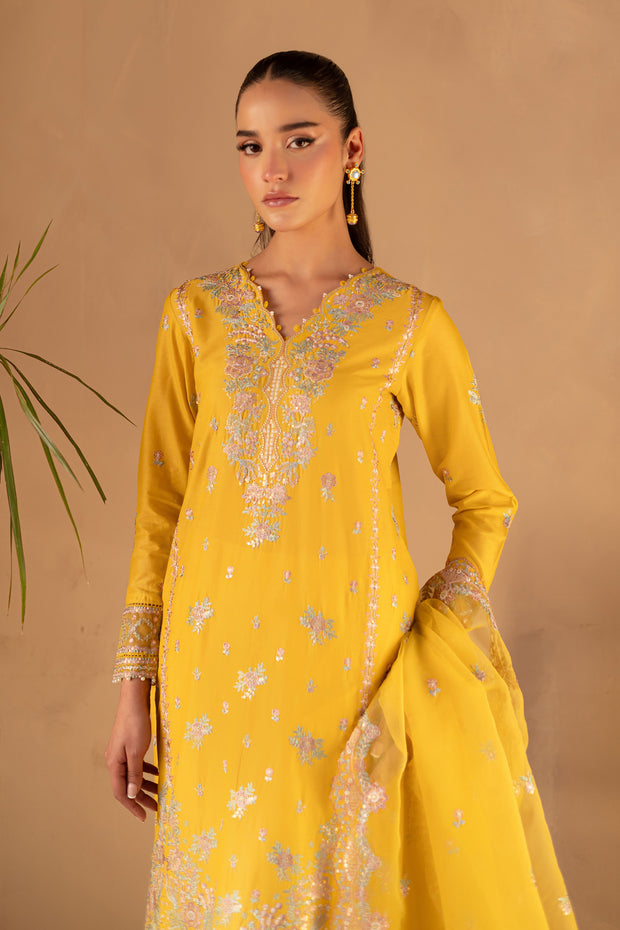 Aurelia 3Pc - Embroidered Luxe Pret