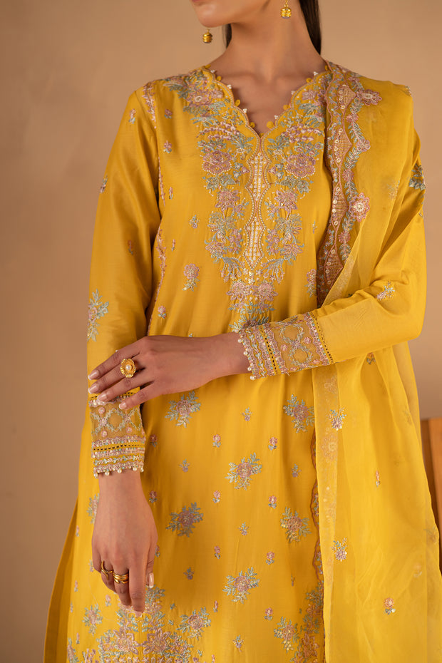 Aurelia 3Pc - Embroidered Luxe Pret