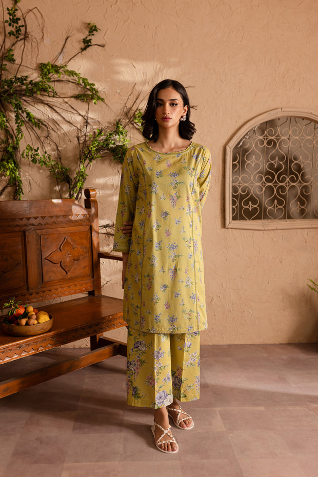 Araa 2Pc - Printed Lawn Dress