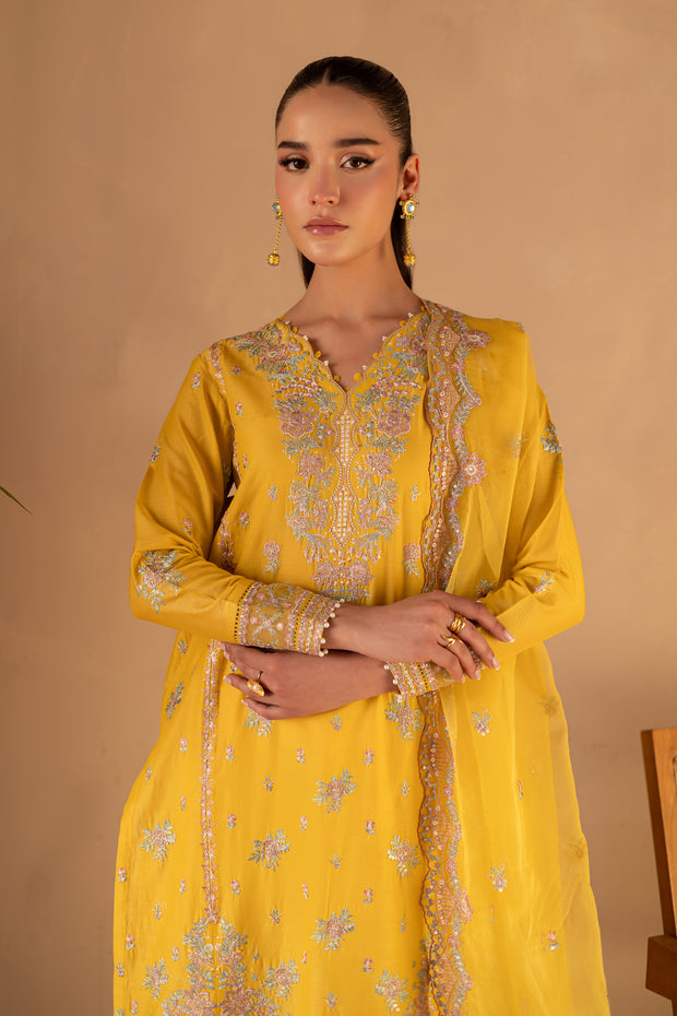 Aurelia 3Pc - Embroidered Luxe Pret
