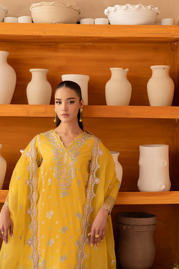 Aurelia 3Pc - Embroidered Luxe Pret