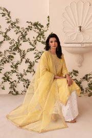 Macaroon 3Pc - Embroidered Sharara Pret