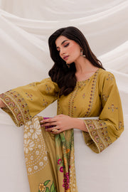 Anchal 3Pc
