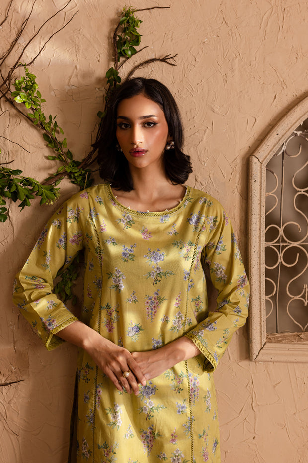 Araa 2Pc - Printed Lawn Dress