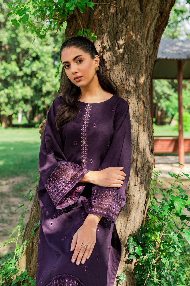 Aeris 2Pc - Embroidered Karandi Dress