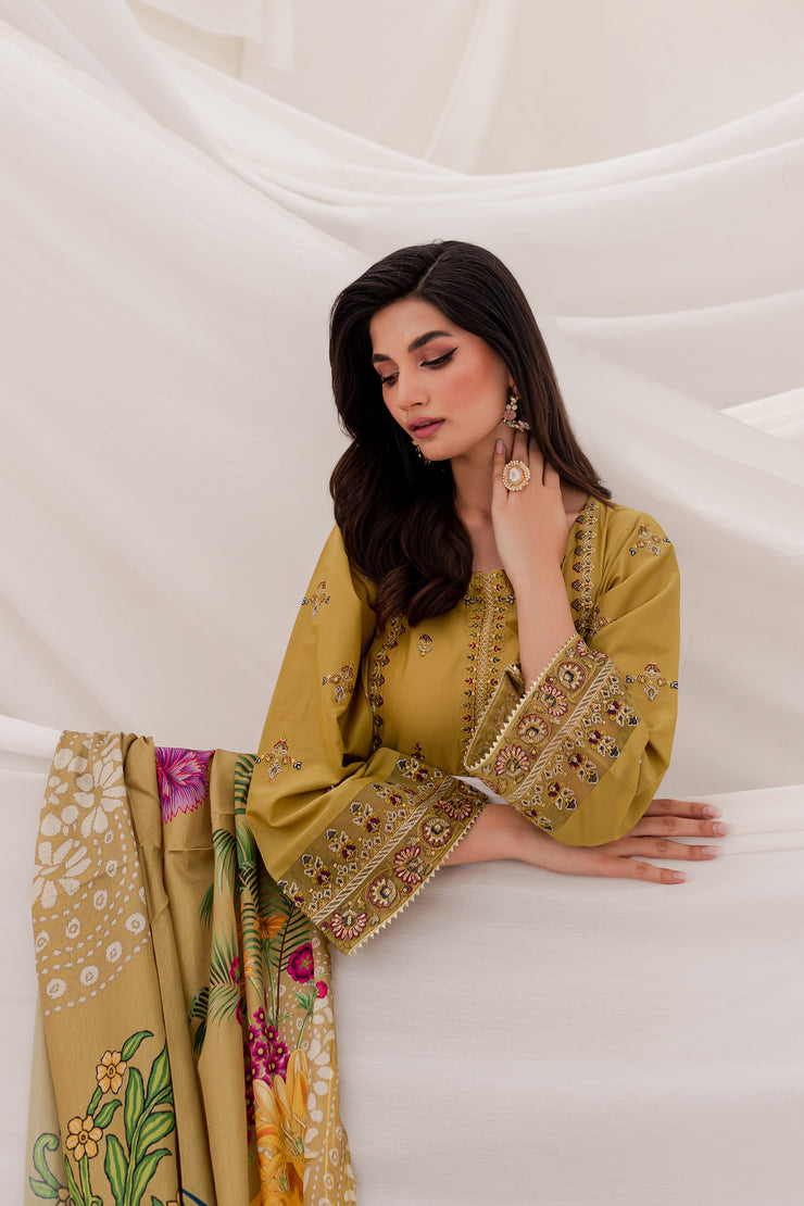 Anchal 3Pc