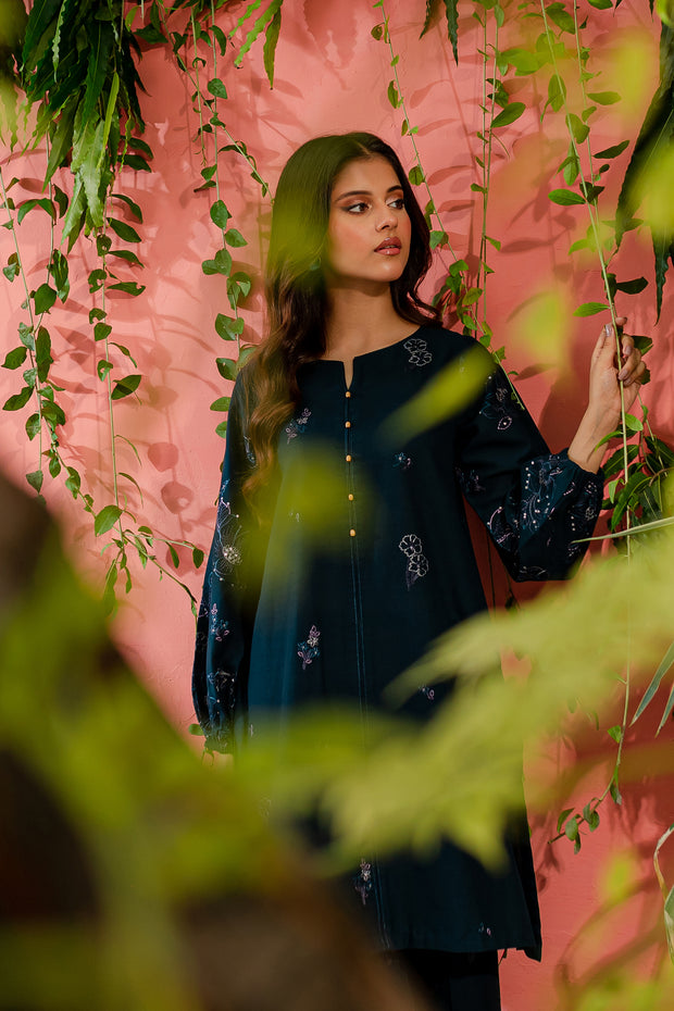 Willow 2Pc - Embroidered Khaddar Dress