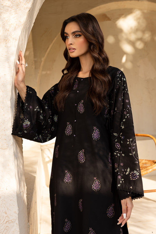 Henim 2Pc - Embroidered Khaddar Dress