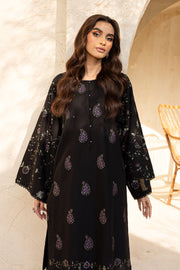 Henim 2Pc - Embroidered Khaddar Dress