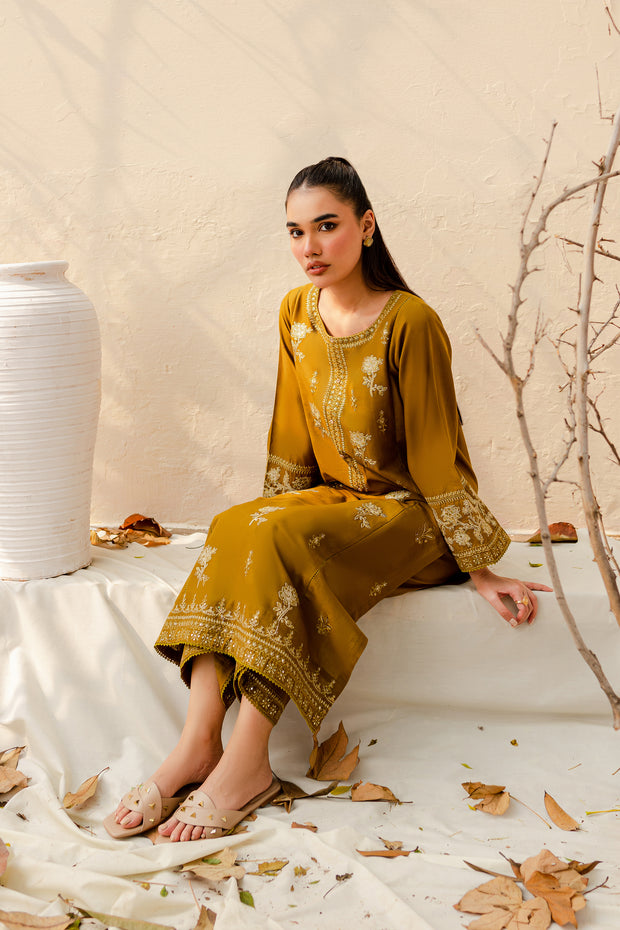 Olive 2Pc - Embroidered Khaddar Dress