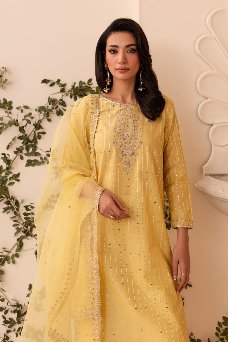 Macaroon 3Pc - Embroidered Sharara Pret