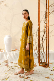 Olive 2Pc - Embroidered Khaddar Dress