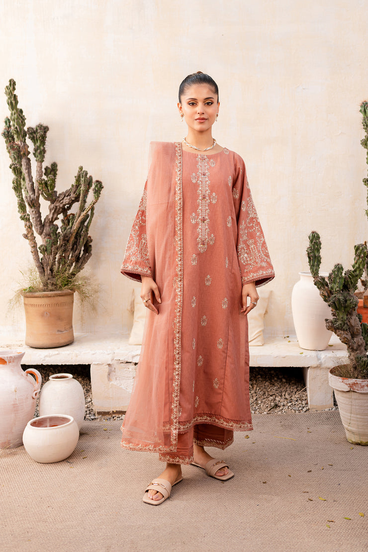 Nate 3Pc - Embroidered Karandi Dress
