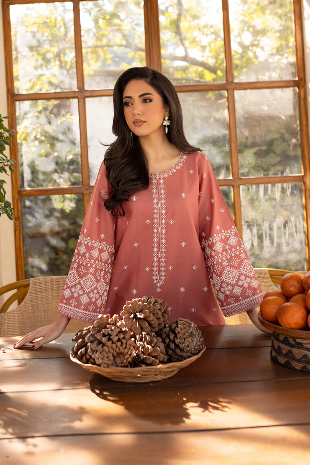 Coral Jasper 2Pc - Embroidered Khaddar Dress