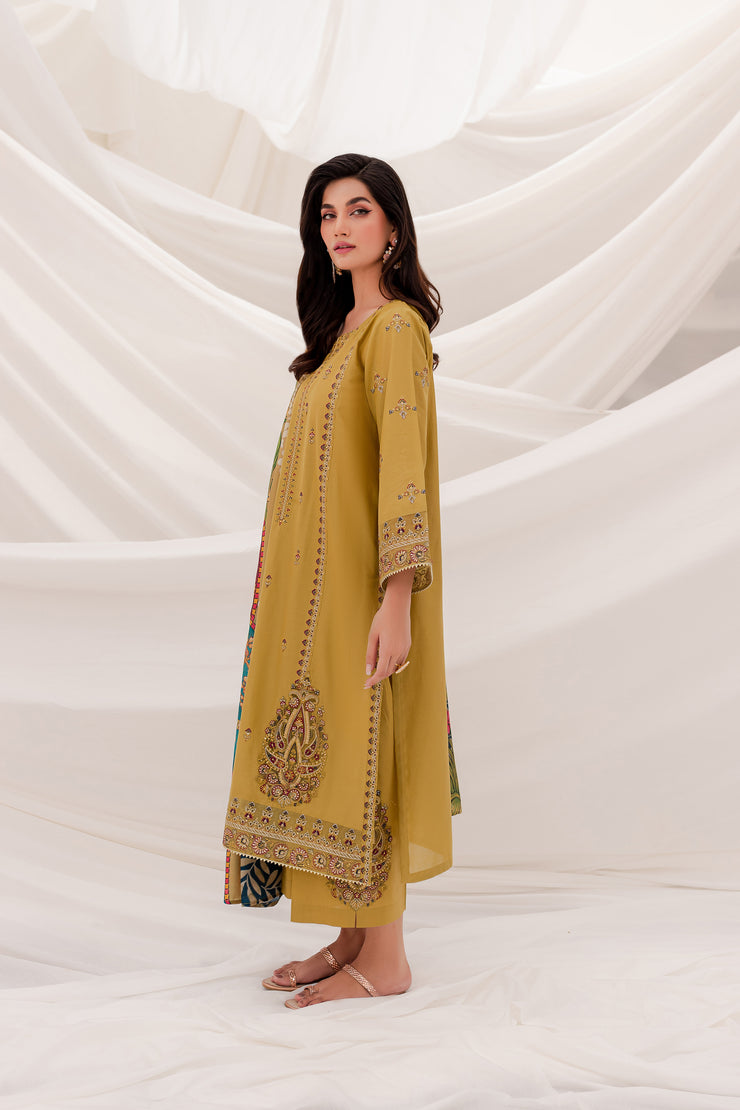 Anchal 3Pc