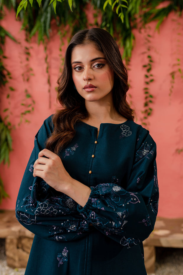 Willow 2Pc - Embroidered Khaddar Dress