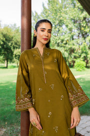 Green Gage 2Pc - Embroidered Karandi Dress