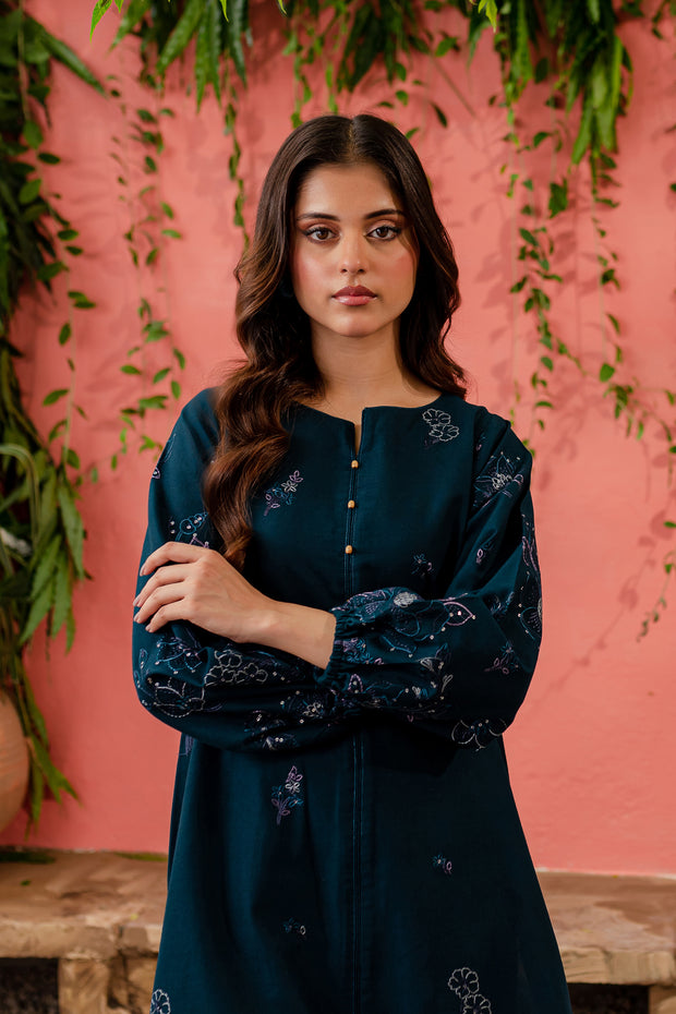 Willow 2Pc - Embroidered Khaddar Dress