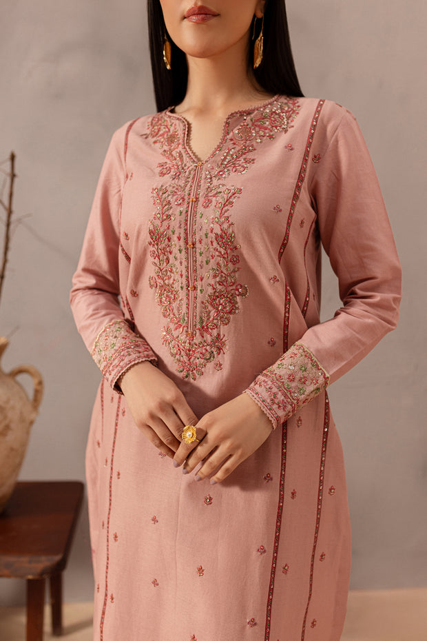 Flamingo 2Pc - Embroidered Khaddar Dress