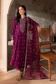 Astro 3Pc - Embroidered Karandi Dress