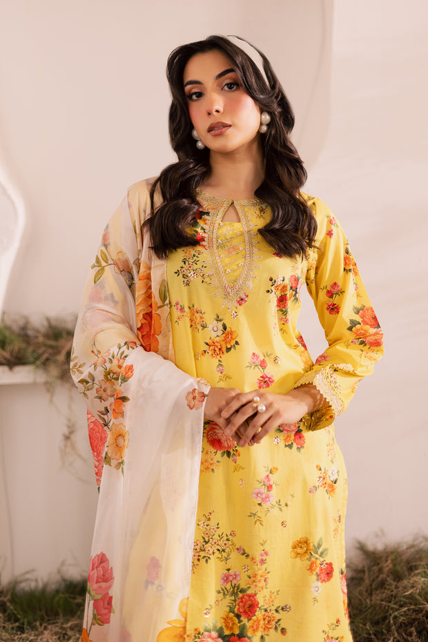 Lumia 3Pc - Printed Lawn Dress