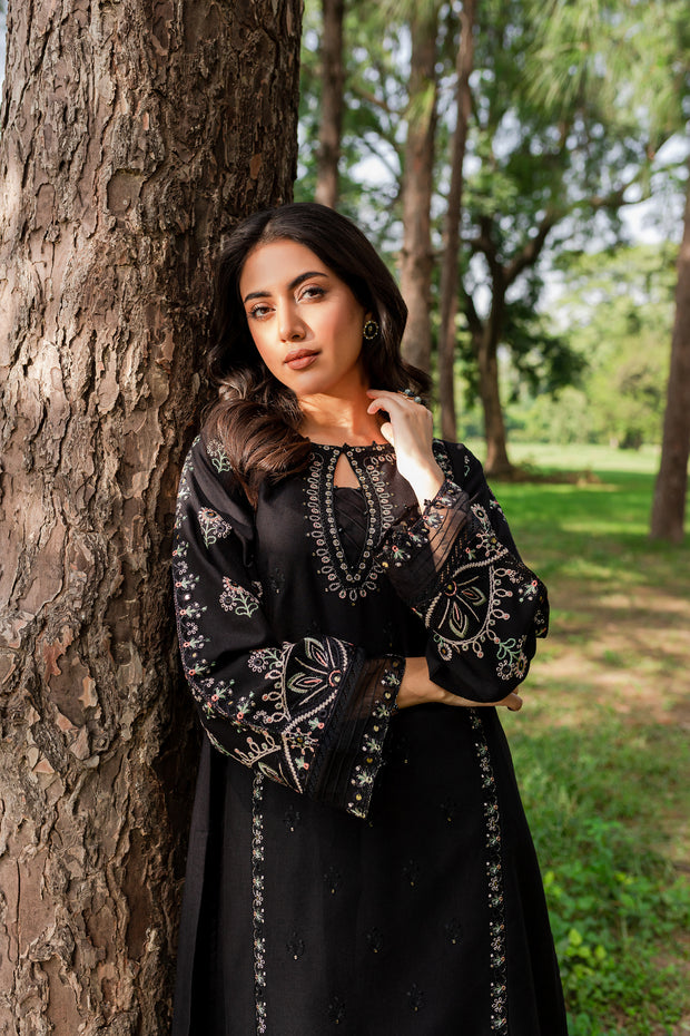 Smoky 2Pc - Embroidered Karandi Dress