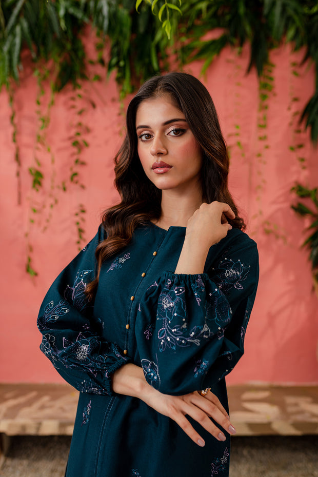 Willow 2Pc - Embroidered Khaddar Dress