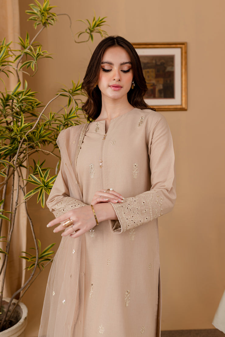Aaira 3Pc - Embroidered Khaddar Dress